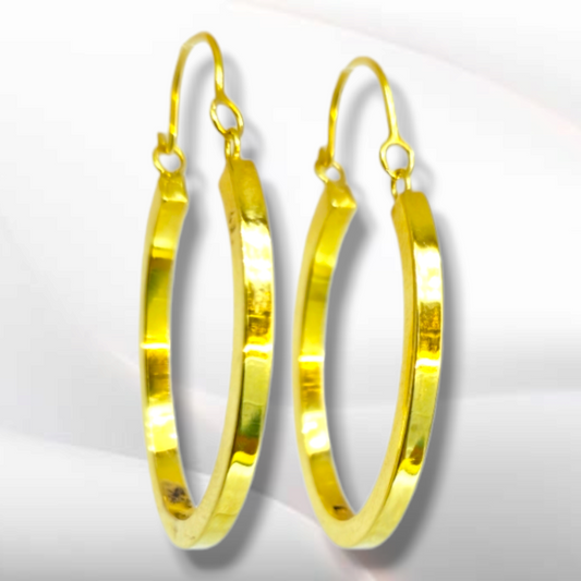 510 - Italian Design Earrings